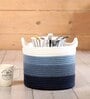 Blue Polypropylene 52 Ltr (1Pc) Storage Basket