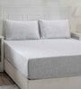 Blue Assorted 144 TC Cotton Queen Size Bedsheet with 2 Pillow Covers,2 Bath Towels and 1 Box