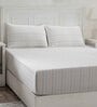 Blue Assorted 144 TC Cotton Queen Size Bedsheet with 2 Pillow Covers,2 Bath Towels and 1 Box