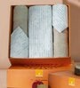 Blue Assorted 144 TC Cotton Queen Size Bedsheet with 2 Pillow Covers,2 Bath Towels and 1 Box