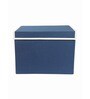 Blue Solid Polypropylene Foldable Storage Box