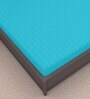 Blue Solid 220 TC Cotton King Bedsheet with 2 Pillow Covers