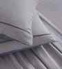 Blue Solid 300 TC Cotton King Size Bed Sheet with 2 Pillow Covers 24 Collection