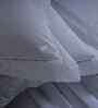 Blue Solid 300 TC Cotton King Size Bed Sheet with 2 Pillow Covers 24 Collection