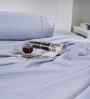 Blue Solid 300 TC Cotton Single Bed Sheet with 1 Pillow Cover 24 Collection
