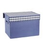 Blue checkerd Polyester  Foldable Cloth Organiser