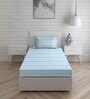Blue Striped 146 TC Cotton Single Bed Sized Bed Sheets With 1 Pillow Cover