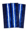 Blue Striped Polyester Blend 21x13 Inches Antiskid Bath Mat (2Pcs)