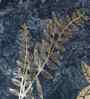 Blue Velvet Floral 16X16 Inches Cushion Covers (5Pcs)