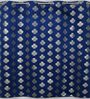Blue Velvet Floral 9 Foot Ring Top Door Curtains Set Of 2