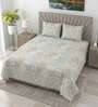 Blue Walnut Metro 186 TC Cotton King Bedsheet With 2 Pillow Covers
