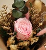 Blush & Bloom Bouquet