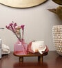 Blush Aroma Diffuser Garden
