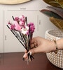 Blush Aroma Diffuser Garden