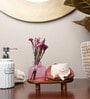 Blush Aroma Diffuser Garden