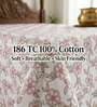 Blush Pink Grace Double 186 TC Cotton Bedsheet With 2 Matching Pillow Covers