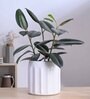Blushing Sun Large White Ceramic Planter