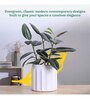 Blushing Sun Large White Ceramic Planter