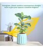 Blushing Sun Medium Sage Green Ceramic Planter