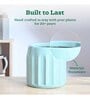 Blushing Sun Medium Sage Green Ceramic Planter