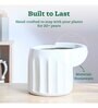 Blushing Sun Medium White Ceramic Planter
