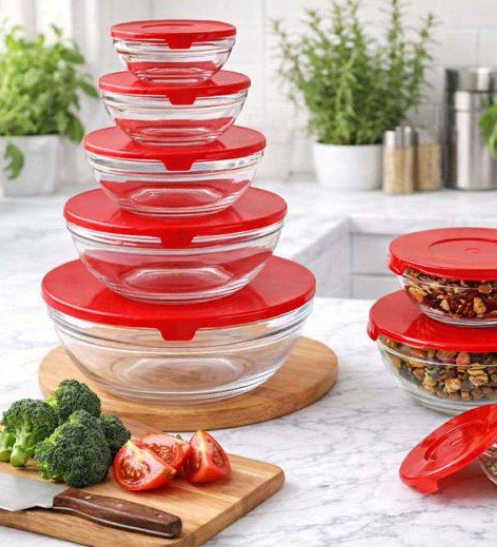 5 Piece Round Borosilicate Glass Mixing Bowl Set with Lids