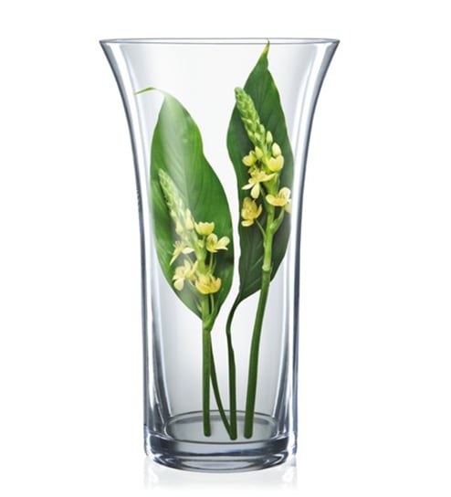 Buy Tranparent Non Lead Crystal Glass Vase By Bohemia Crystal