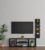 Bogart TV Console in Black Finish- For Up To 55"