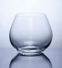 Amoroso 350ml (Set of 2) Everyday Glasses