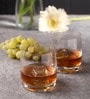 Ideal 290ml (Set of 6) Whiskey Glass