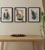 Bohemian Abstract Botanical Boho Wall Art Framed Art Print for Bedroom Modern Aesthetic