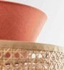 Boho Handmade Rattan Cane Pendant Hanging Light (Orange & Beige)