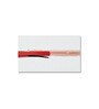 Bold Red and Black Canvas Wall Painting White Frame