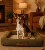 Bolster Bed for Dogs