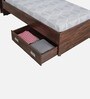 Boltera Single Bed in Dark Walnut Finish with Drawer Storage Boltera Single Bed in Dark Walnut Finish with Drawer Storage