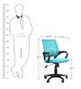 Bolton Ergonomic Chair in Blue Colour