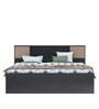 Bolton Plus Queen Size Bed with Box Storage in Wenge Colour