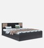 Bolton Plus Queen Size Bed with Box Storage in Wenge Colour