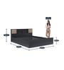 Bolton Plus Queen Size Bed with Box Storage in Wenge Colour