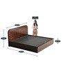Bolton Solid Wood Queen Size Bed in Brown Finish with Hydraulic Storage