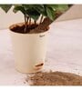 Bone Meal Fertilizer