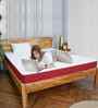 BONE ZONE with REBOTECH Tech 6 Inch Bonded & PU Foam Single Size Mattress