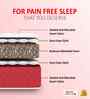 BONE ZONE with REBOTECH Tech 6 Inch Bonded & PU Foam Single Size Mattress