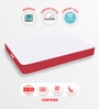 Bonezone Orthopedic 4 Inches Bonded Foam & PU Foam Queen Size Mattress