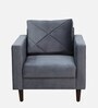 Bonito Velvet 1 Seater Sofa In Fossil Grey Colour