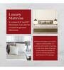 Mod Dual Comfort 10 inch Bonnell Spring Queen Size Mattress in Red Colour