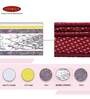Mod Dual Comfort 10 inch Bonnell Spring Queen Size Mattress in Red Colour