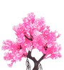 Bonsai Tree with Pink and Red Leaves