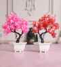 Bonsai Tree with Pink and Red Leaves
