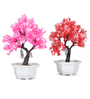 Bonsai Tree with Pink and Red Leaves